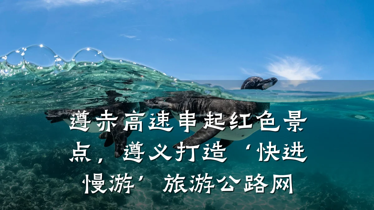 遵赤高速串起红色景点,遵义打造‘快进慢游’旅游公路网