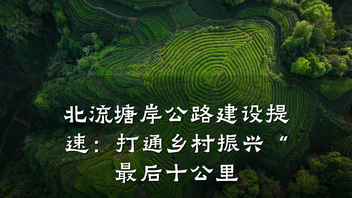 北流塘岸公路建设提速：打通乡村振兴“最后十公里