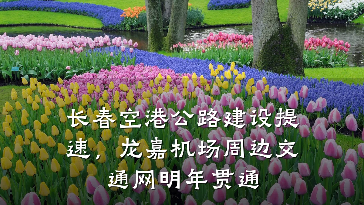 长春空港公路建设提速,龙嘉机场周边交通网明年贯通