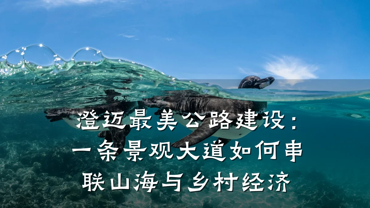 澄迈最美公路建设:一条景观大道如何串联山海与乡村经济