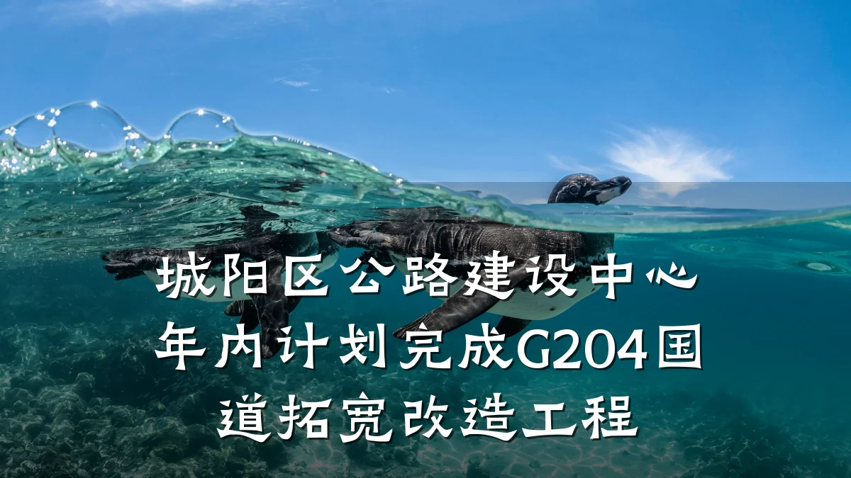 城阳区公路建设中心年内计划完成G204国道拓宽改造工程