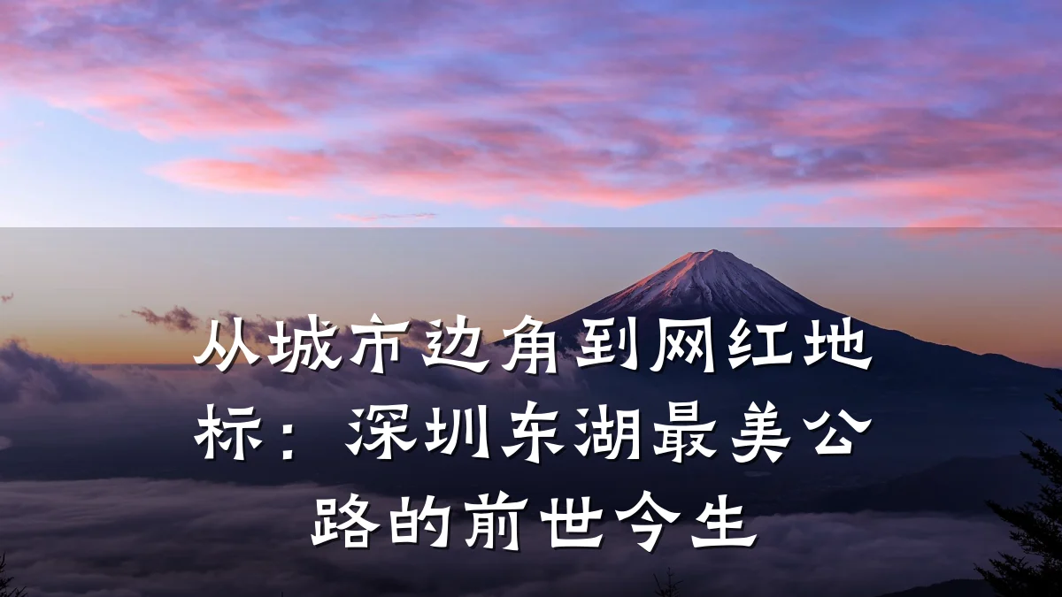 从城市边角到网红地标:深圳东湖最美公路的前世今生