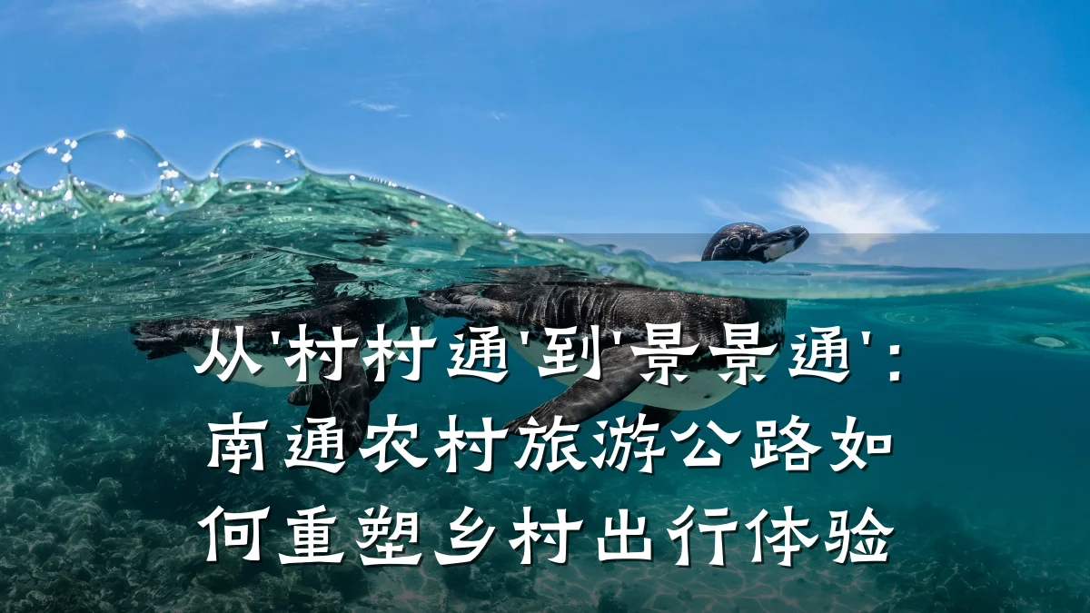 从'村村通'到'景景通':南通农村旅游公路如何重塑乡村出行体验