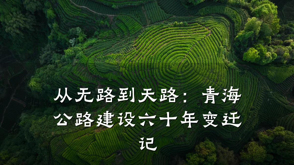 从无路到天路：青海公路建设六十年变迁记
