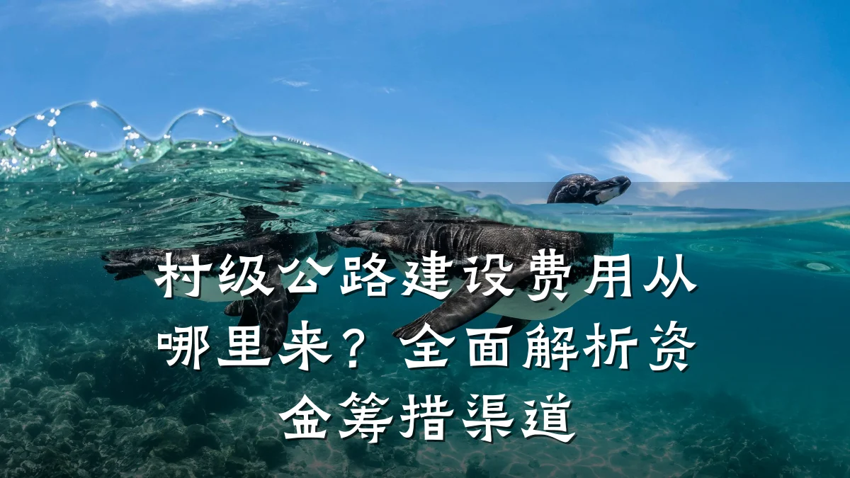 村级公路建设费用从哪里来?全面解析资金筹措渠道