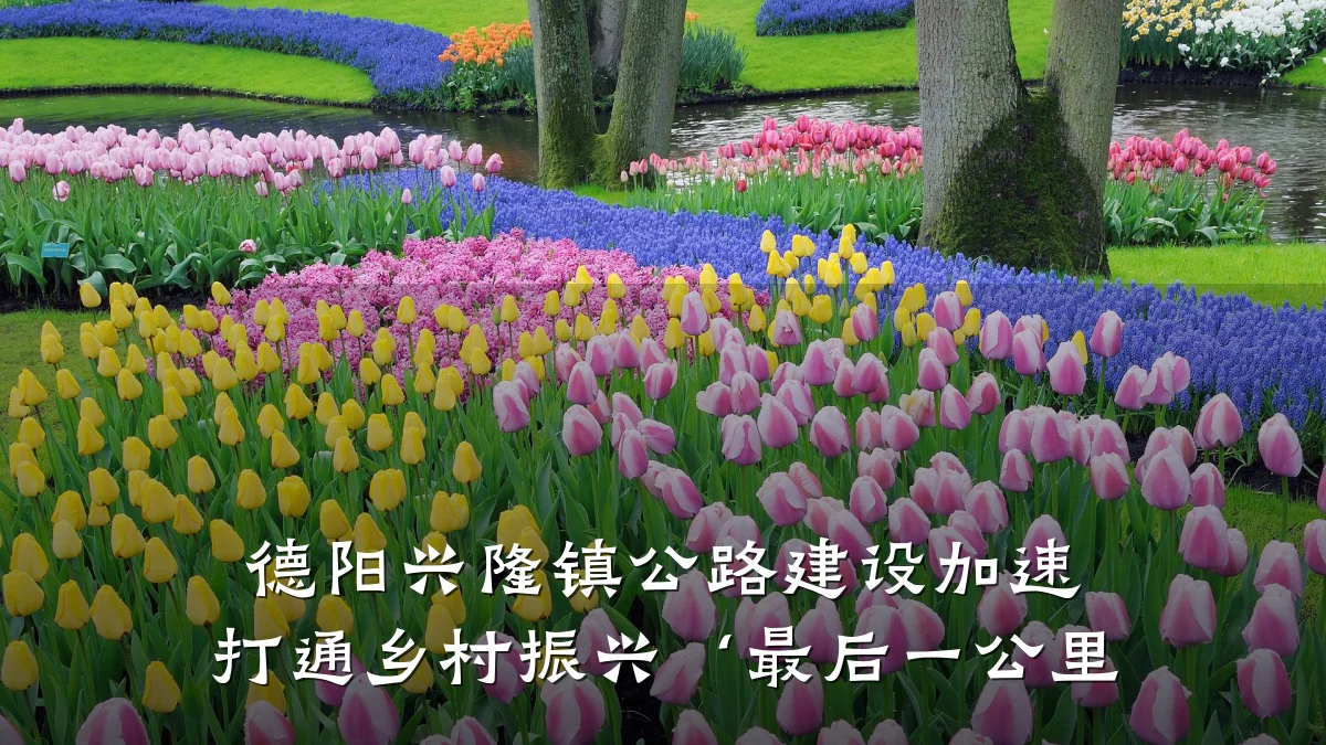 德阳兴隆镇公路建设加速 打通乡村振兴‘最后一公里