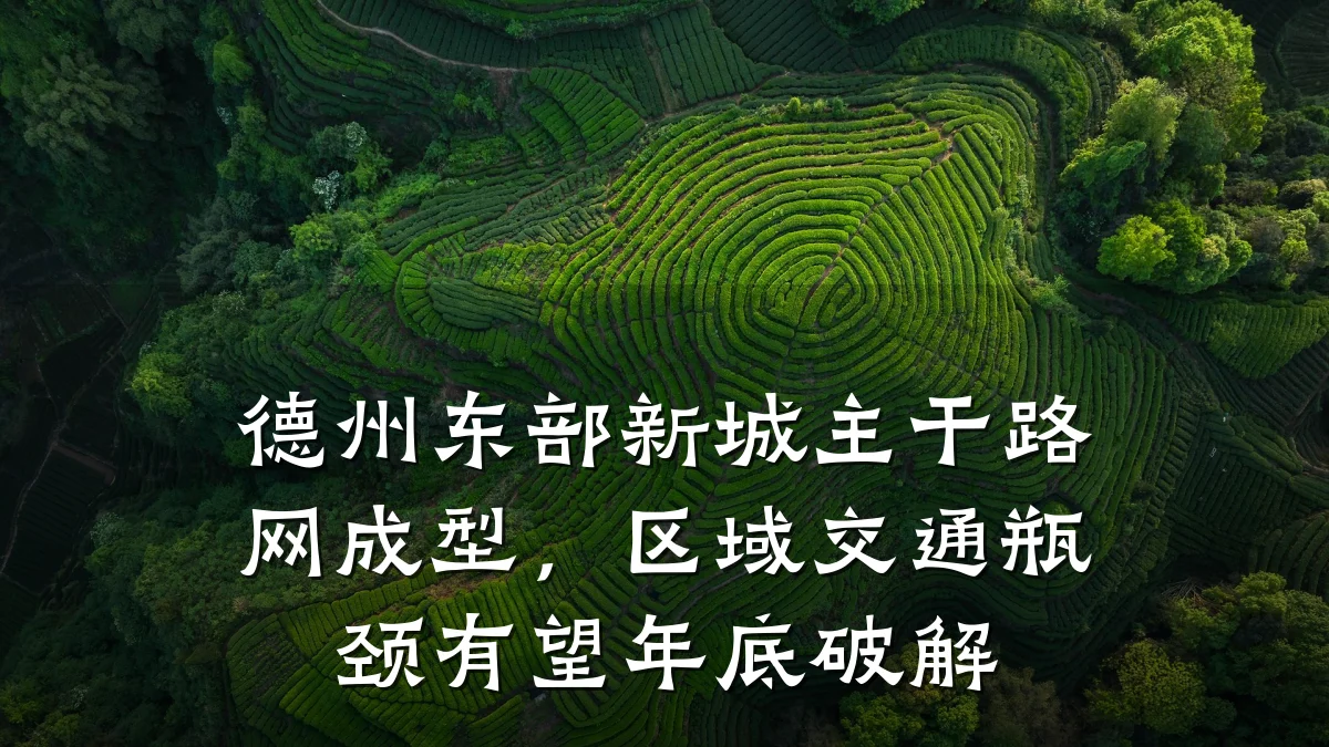 德州东部新城主干路网成型,区域交通瓶颈有望年底破解