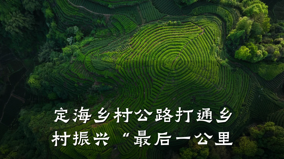 定海乡村公路打通乡村振兴“最后一公里