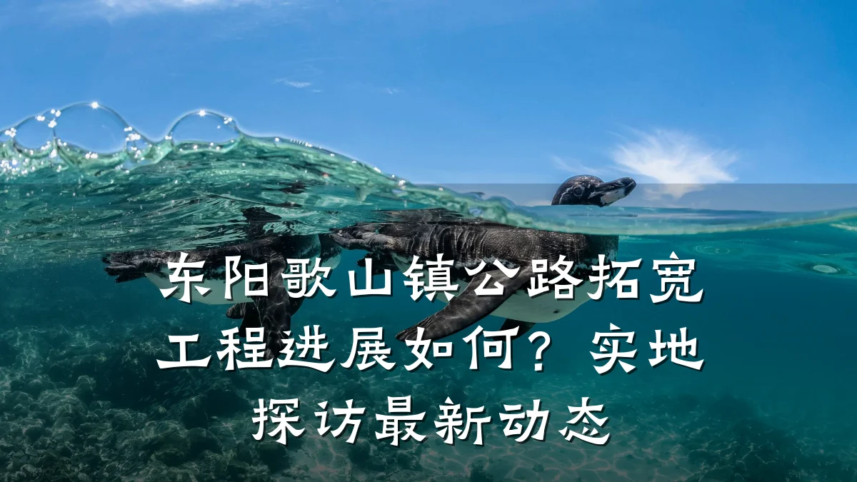东阳歌山镇公路拓宽工程进展如何?实地探访最新动态