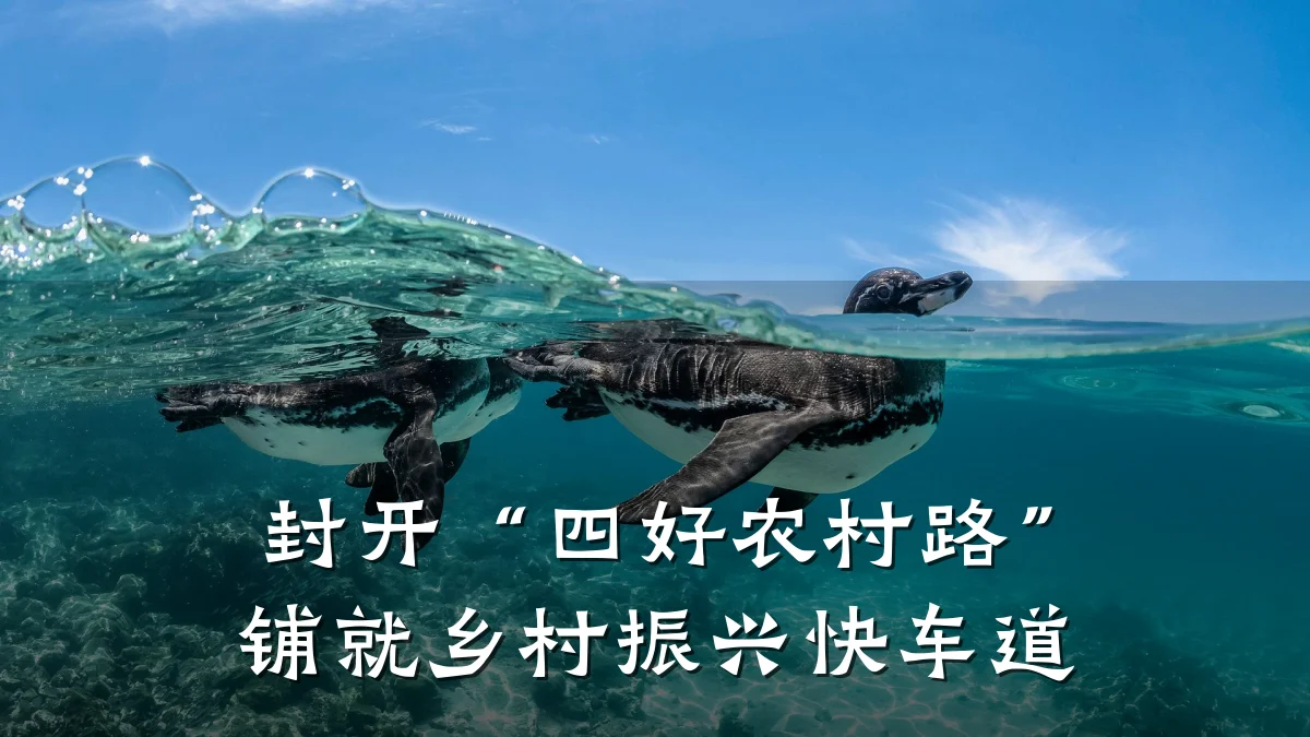 封开“四好农村路”铺就乡村振兴快车道