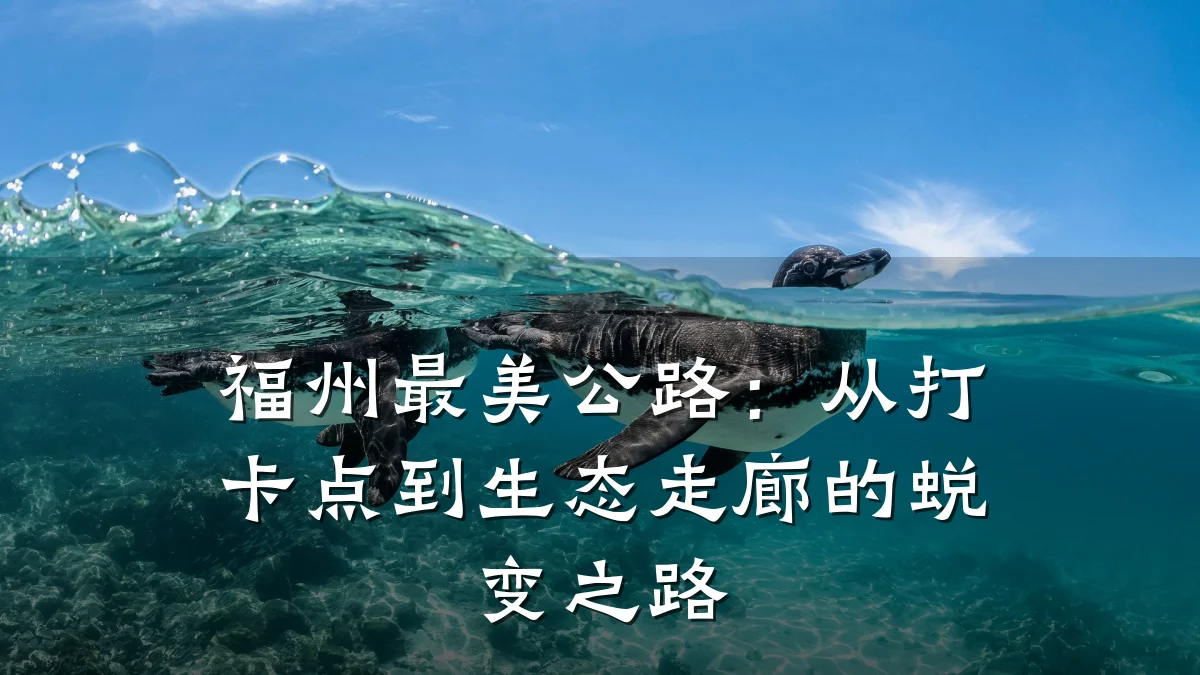 福州最美公路:从打卡点到生态走廊的蜕变之路