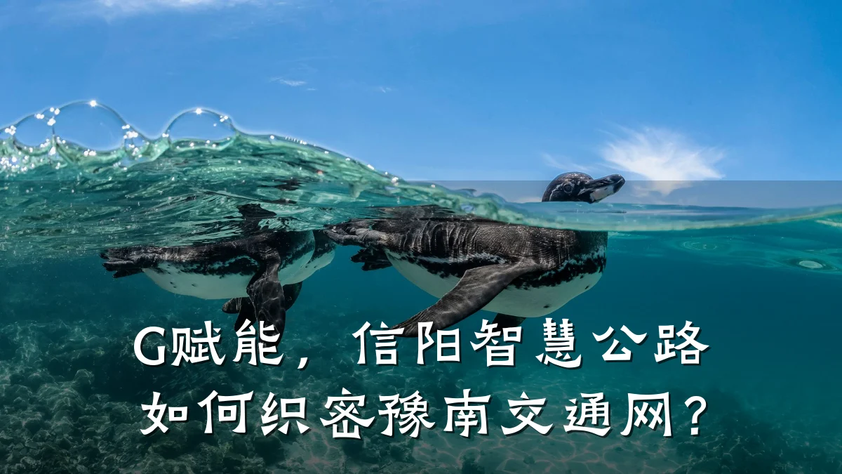 G赋能,信阳智慧公路如何织密豫南交通网?