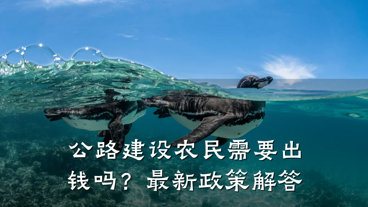 公路建设农民需要出钱吗?最新政策解答