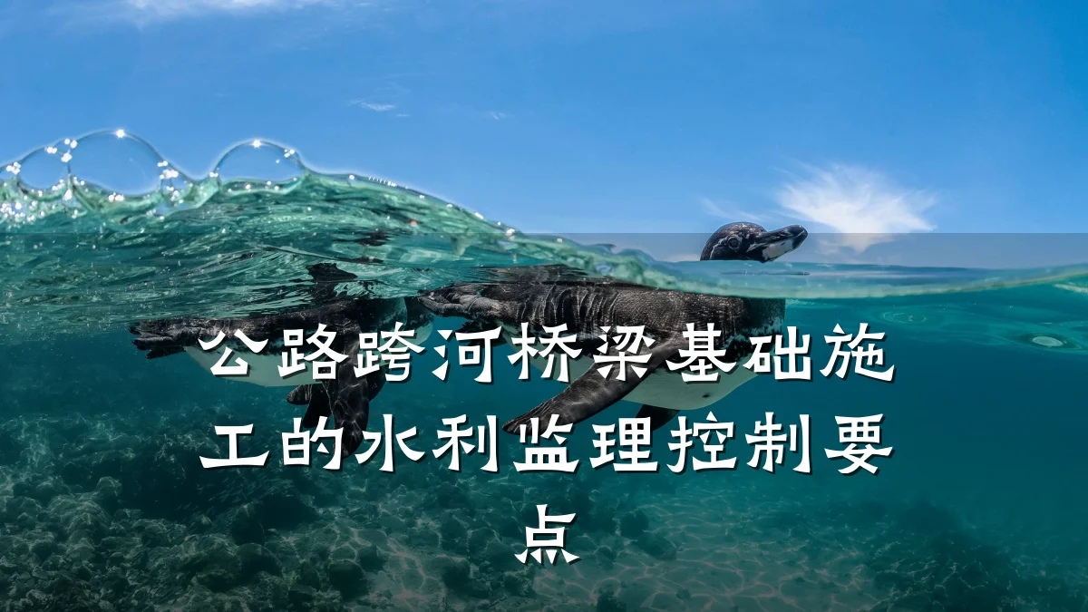 公路跨河桥梁基础施工的水利监理控制要点
