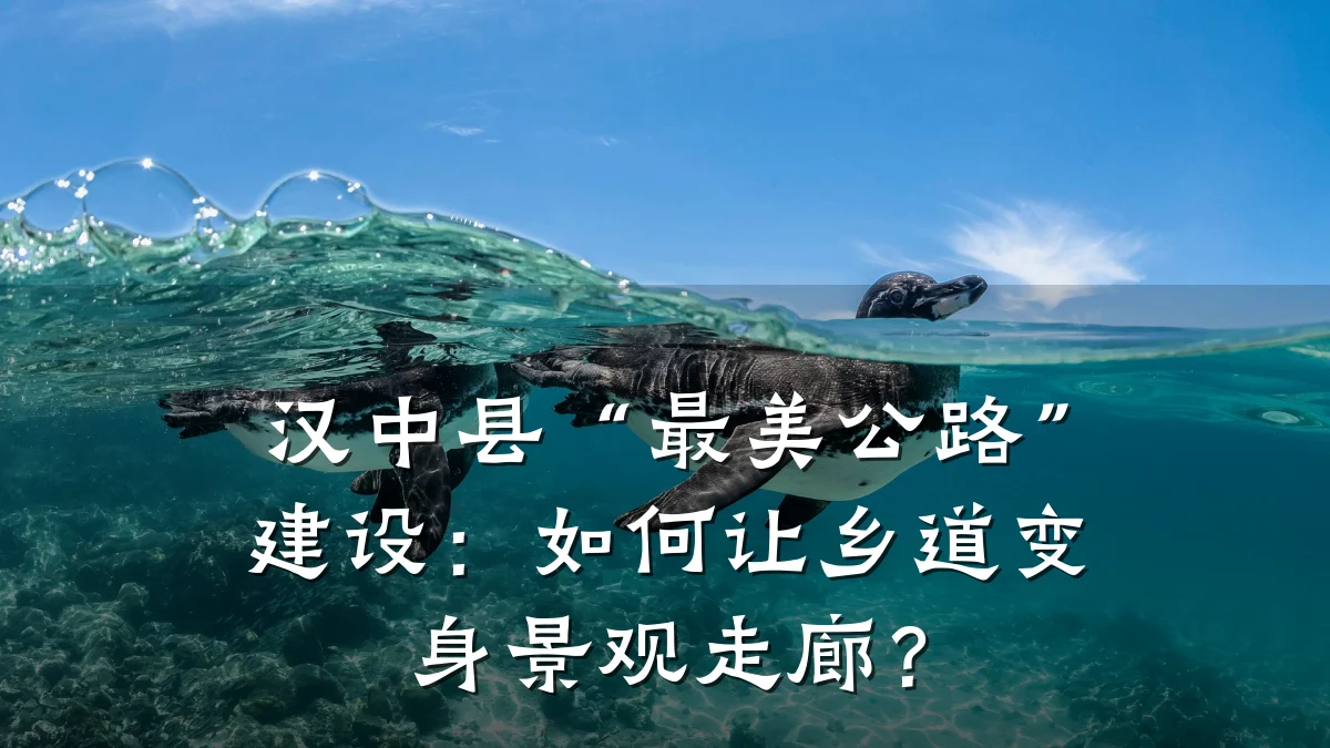 汉中县“最美公路”建设：如何让乡道变身景观走廊？