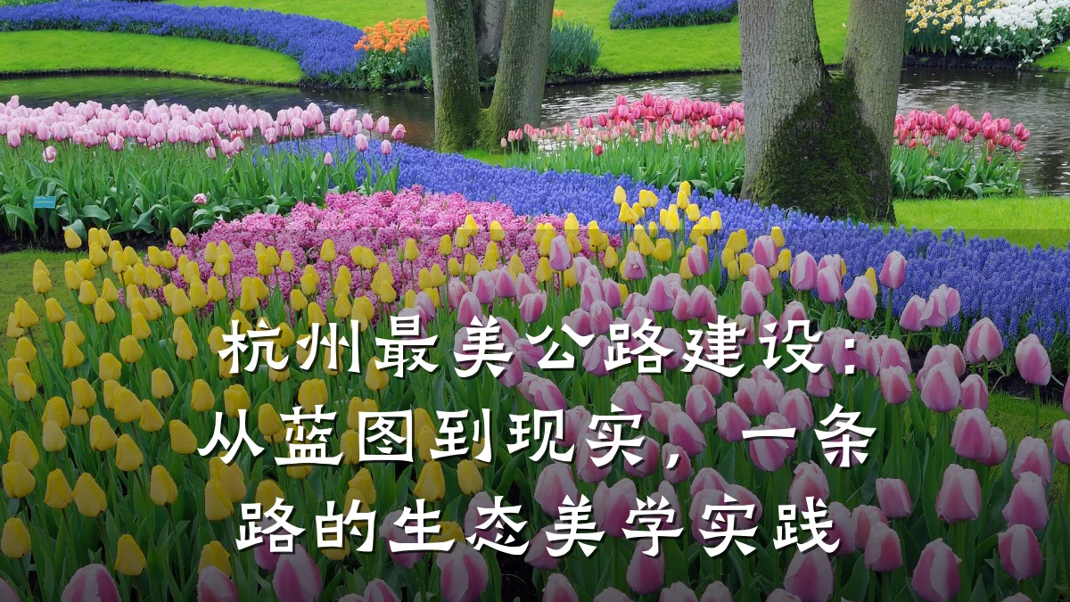 杭州最美公路建设:从蓝图到现实,一条路的生态美学实践