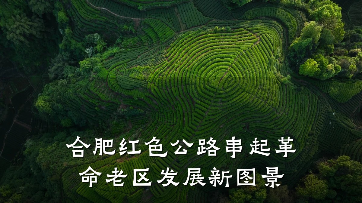 合肥红色公路串起革命老区发展新图景