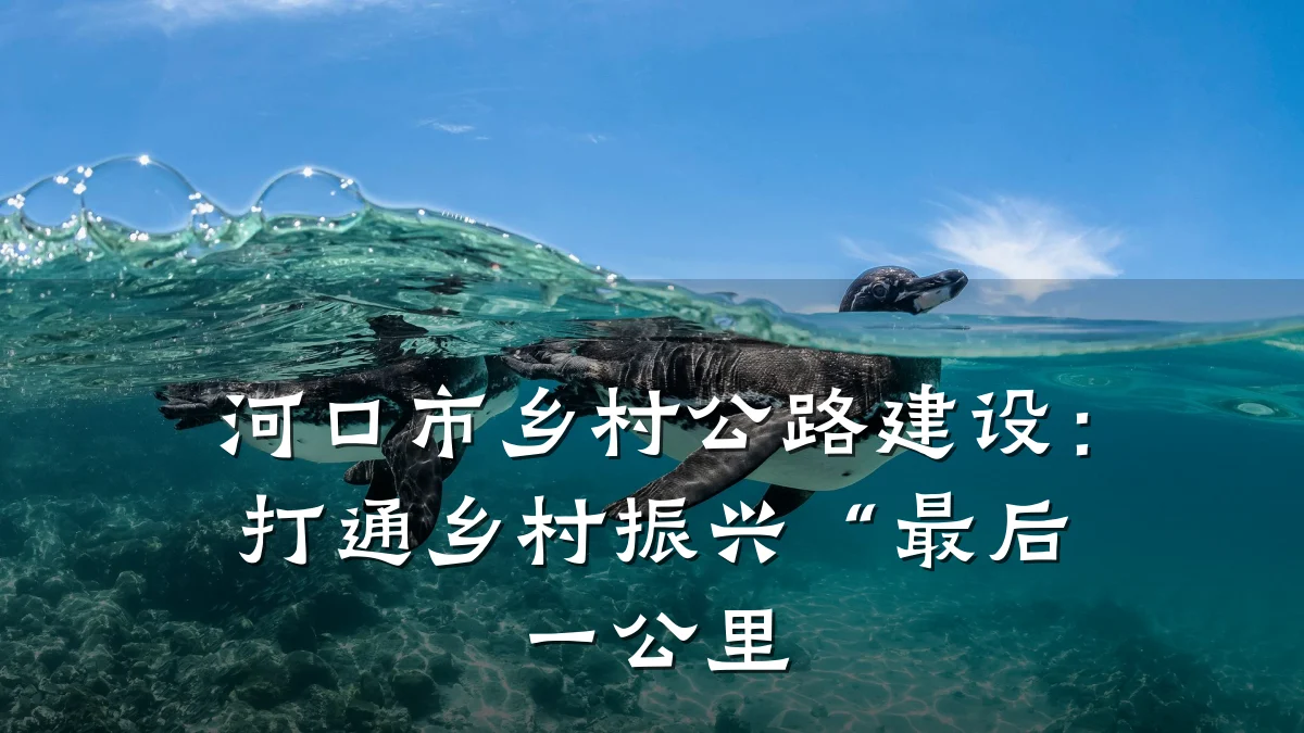 河口市乡村公路建设:打通乡村振兴“最后一公里