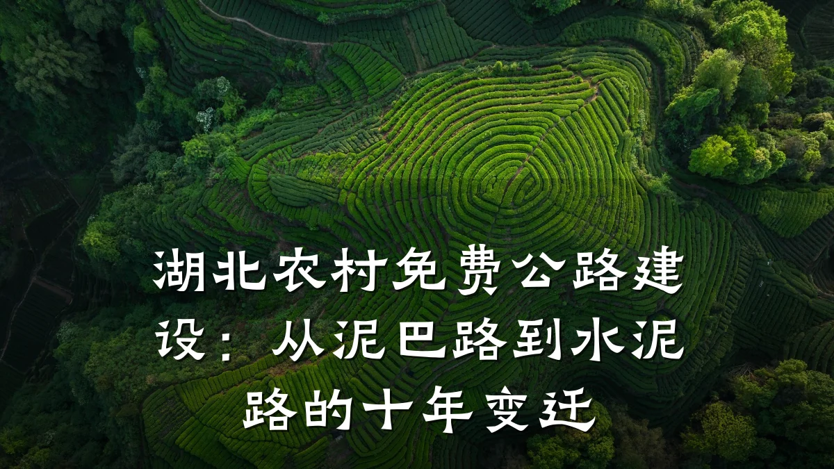 湖北农村免费公路建设:从泥巴路到水泥路的十年变迁