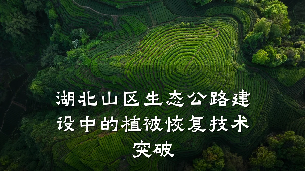 湖北山区生态公路建设中的植被恢复技术突破