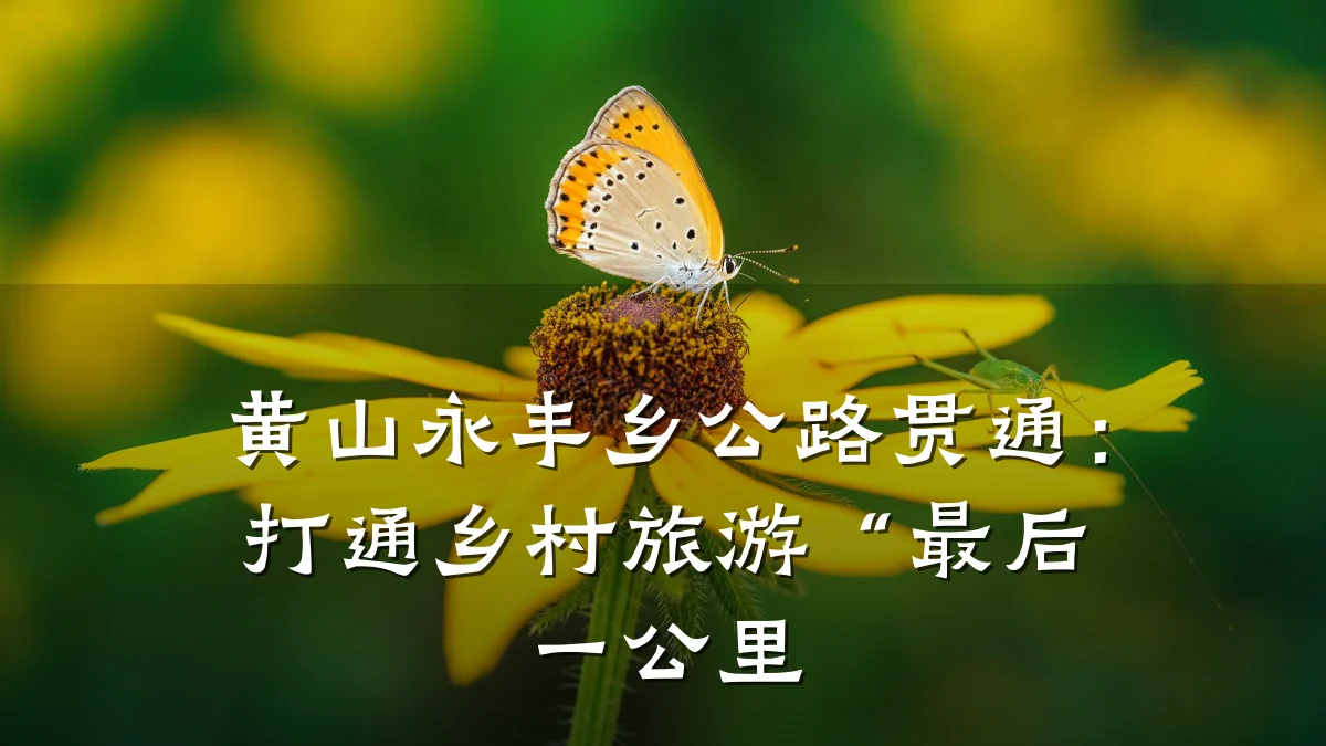 黄山永丰乡公路贯通:打通乡村旅游“最后一公里