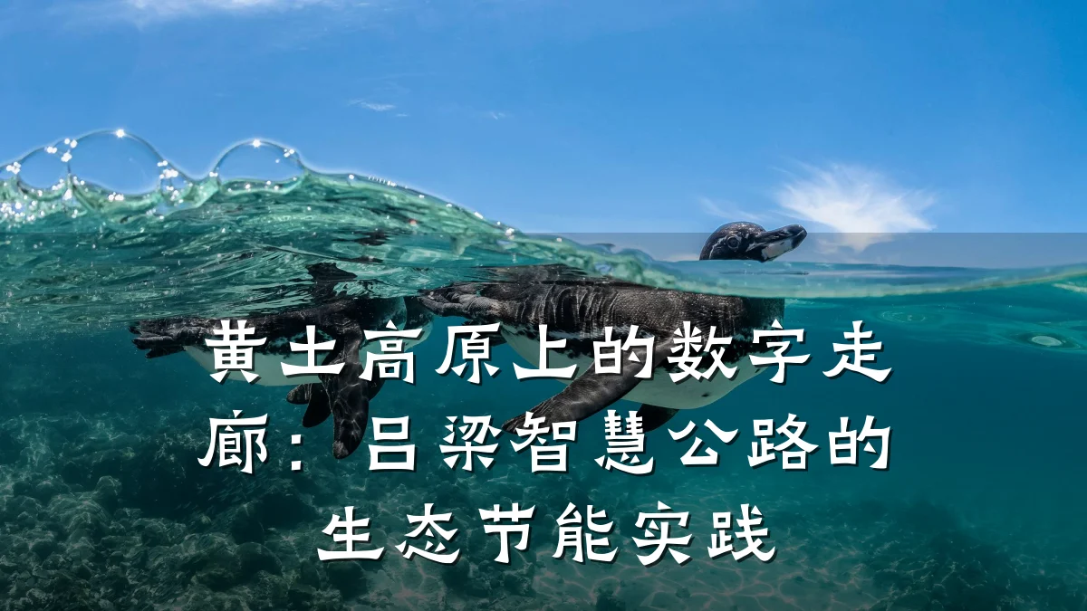 黄土高原上的数字走廊:吕梁智慧公路的生态节能实践