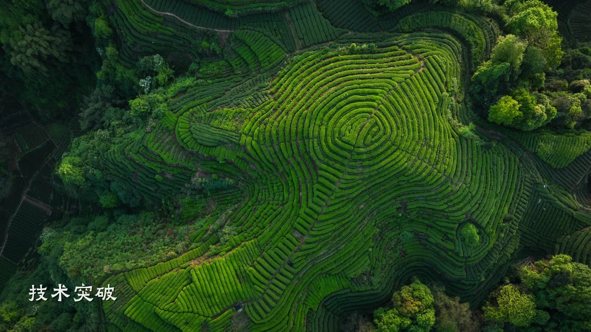 技术突破