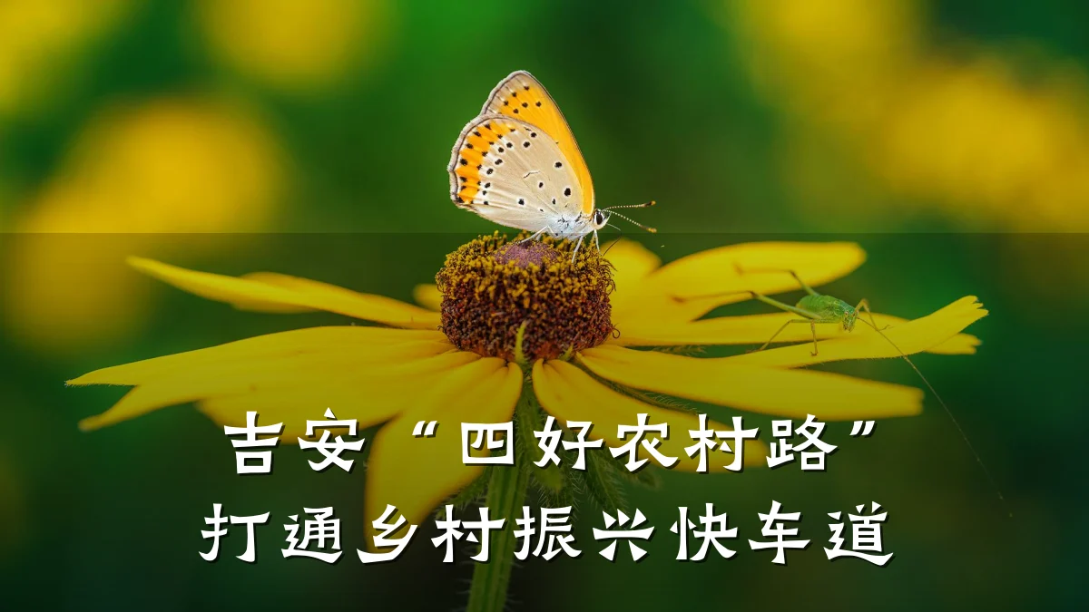 吉安“四好农村路”打通乡村振兴快车道