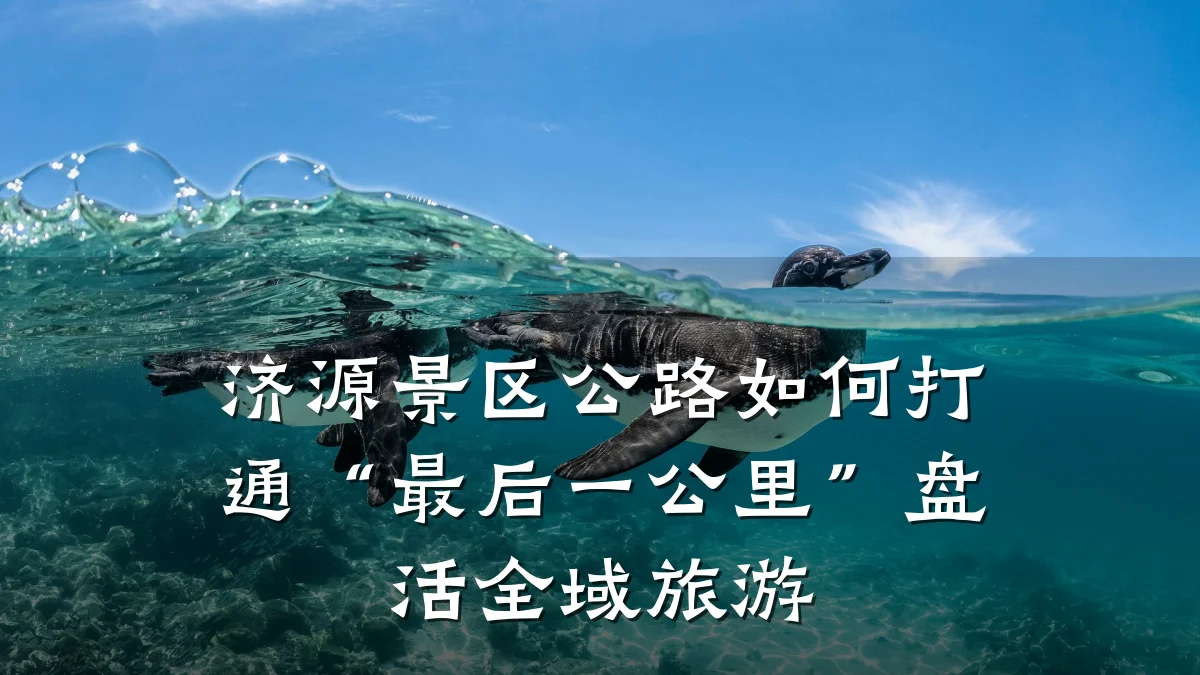 济源景区公路如何打通“最后一公里”盘活全域旅游