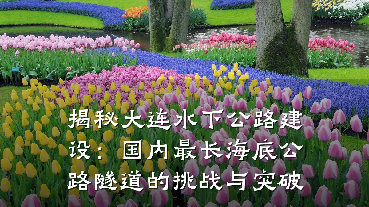 揭秘大连水下公路建设：国内最长海底公路隧道的挑战与突破