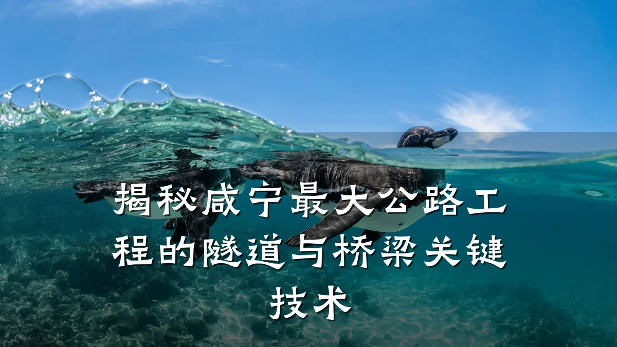 揭秘咸宁最大公路工程的隧道与桥梁关键技术