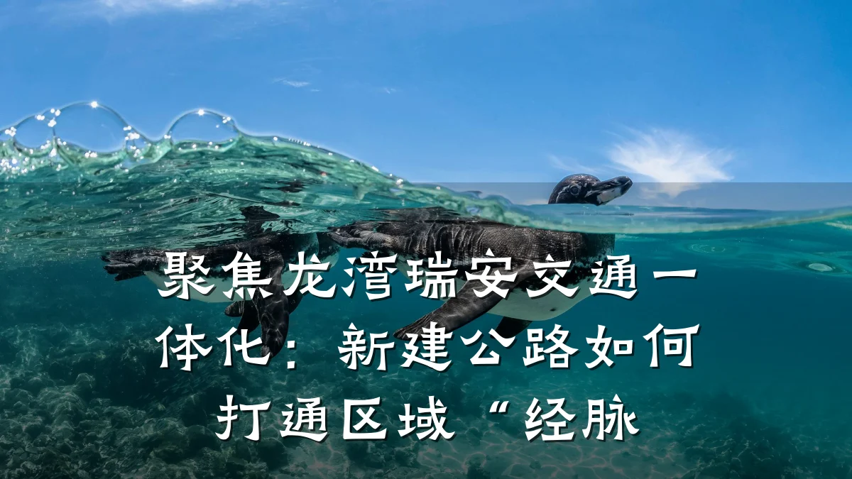 聚焦龙湾瑞安交通一体化:新建公路如何打通区域“经脉