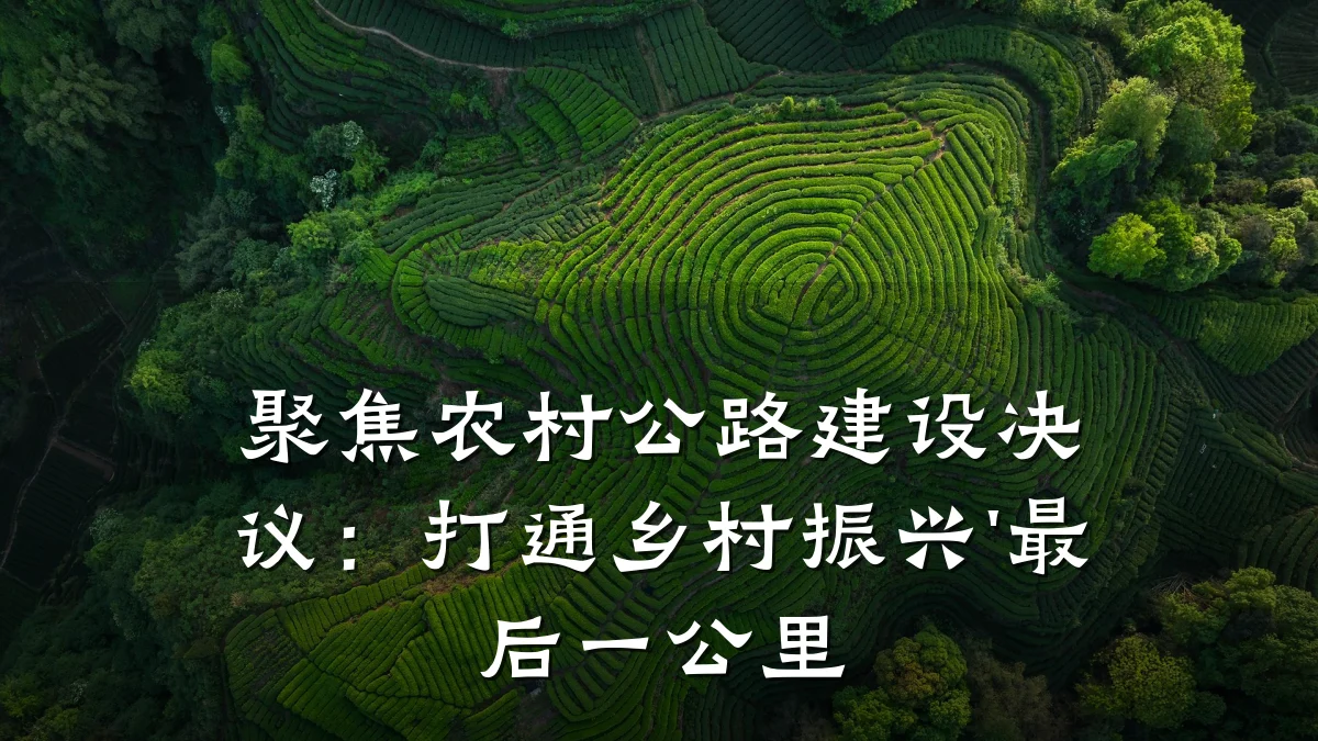 聚焦农村公路建设决议:打通乡村振兴'最后一公里