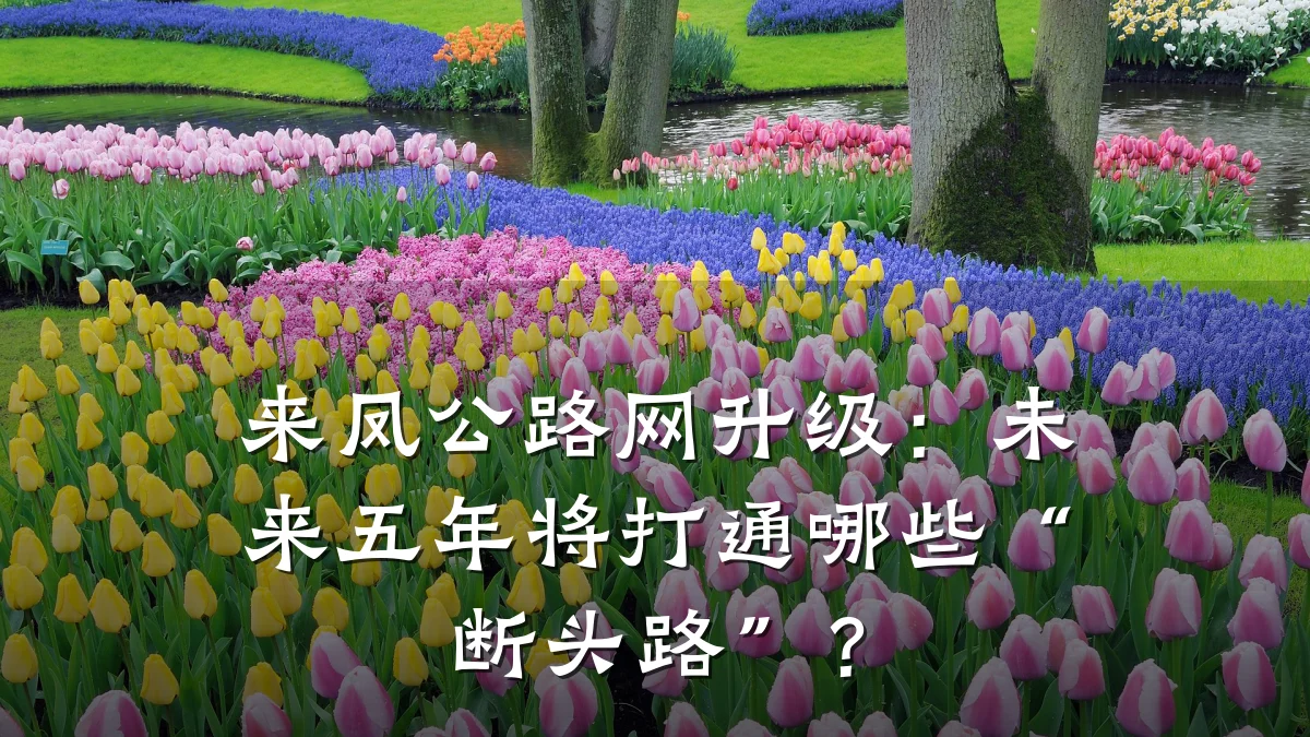 来凤公路网升级:未来五年将打通哪些“断头路”?