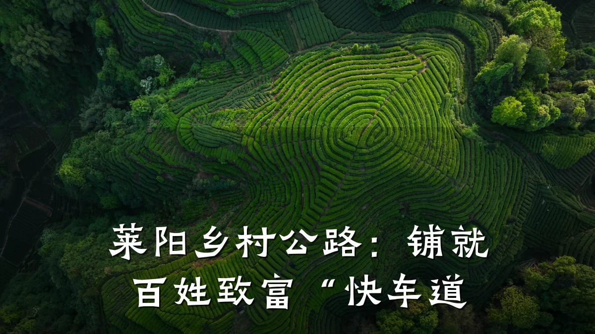 莱阳乡村公路:铺就百姓致富“快车道