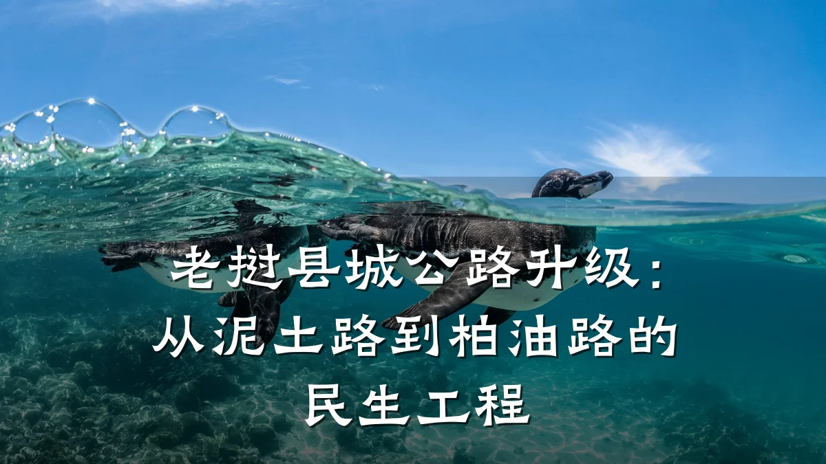 老挝县城公路升级:从泥土路到柏油路的民生工程