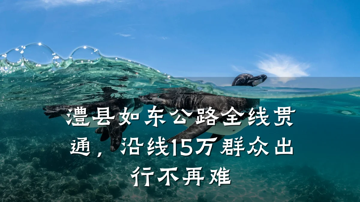 澧县如东公路全线贯通，沿线15万群众出行不再难