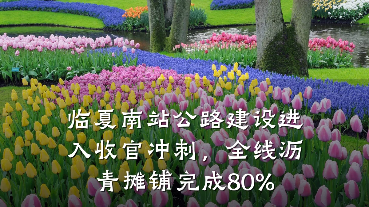 临夏南站公路建设进入收官冲刺，全线沥青摊铺完成80%