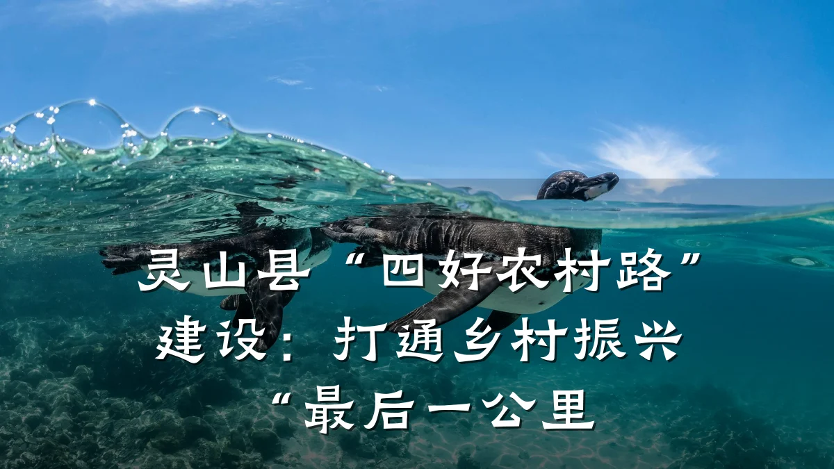 灵山县“四好农村路”建设:打通乡村振兴“最后一公里