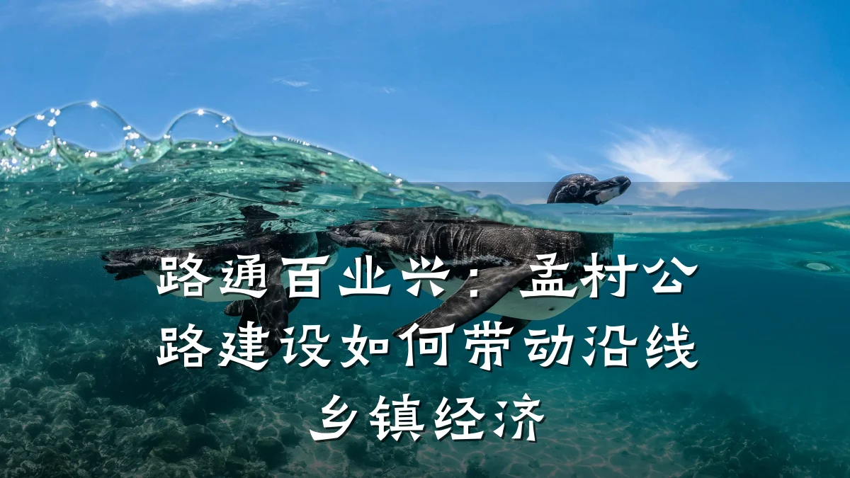 路通百业兴：孟村公路建设如何带动沿线乡镇经济