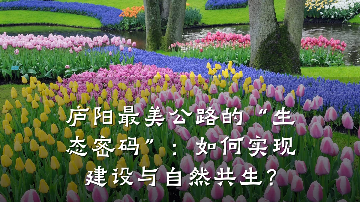 庐阳最美公路的“生态密码”:如何实现建设与自然共生?