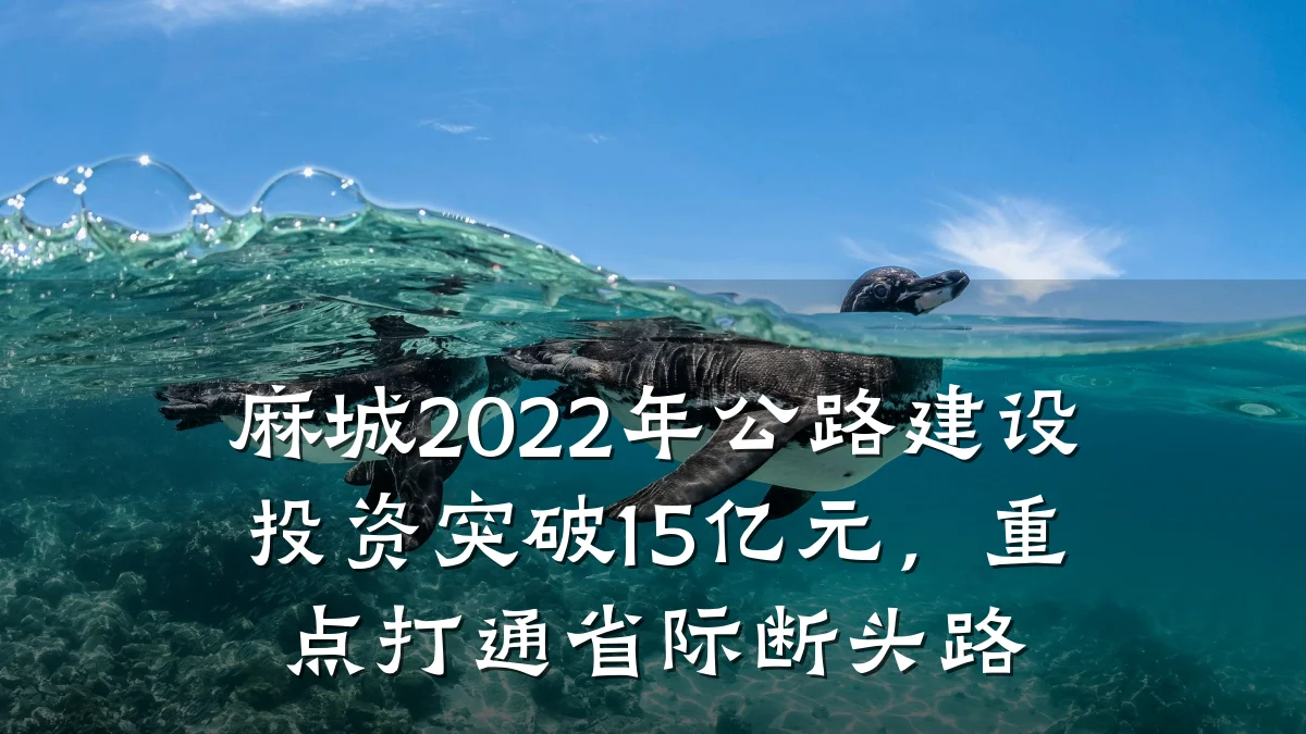 麻城2022年公路建设投资突破15亿元,重点打通省际断头路