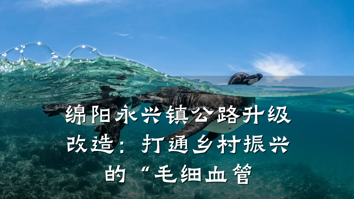 绵阳永兴镇公路升级改造:打通乡村振兴的“毛细血管