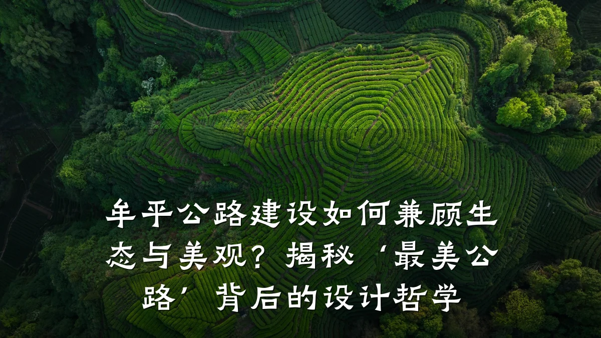 牟平公路建设如何兼顾生态与美观?揭秘‘最美公路’背后的设计哲学