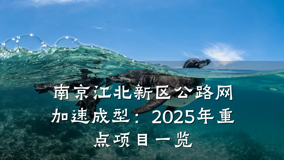 南京江北新区公路网加速成型:2025年重点项目一览