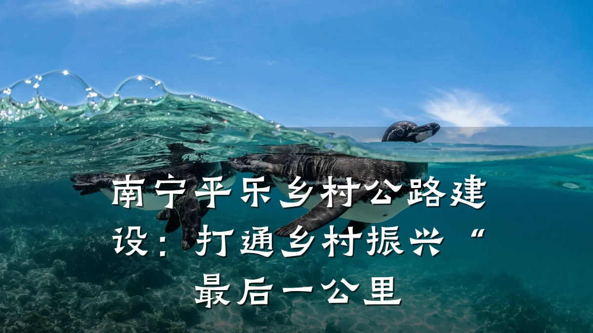 南宁平乐乡村公路建设:打通乡村振兴“最后一公里
