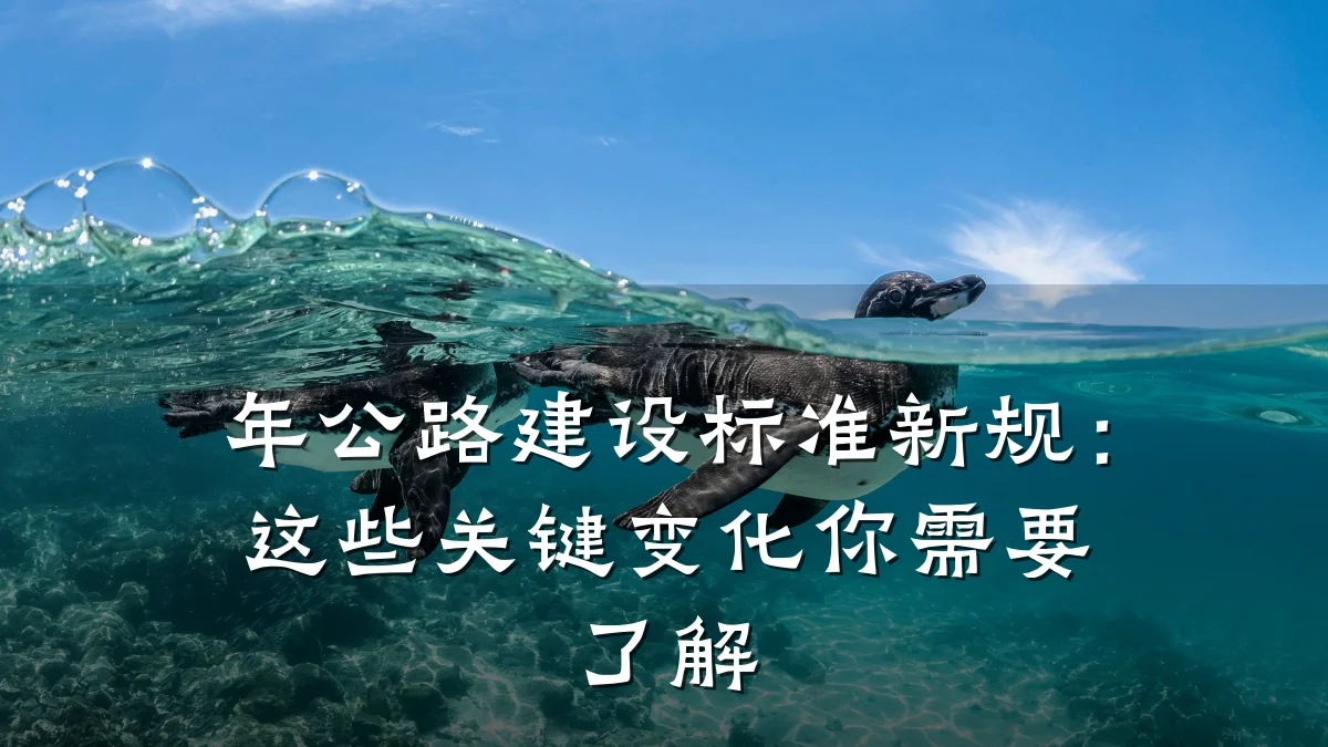 年公路建设标准新规:这些关键变化你需要了解