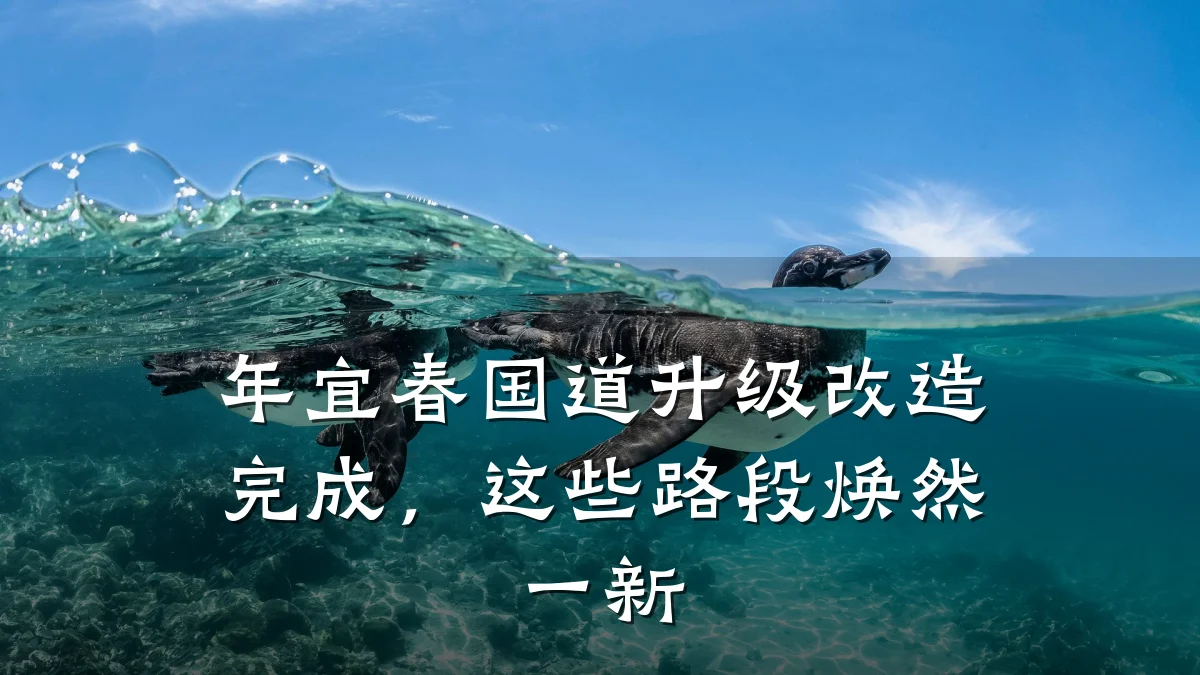 年宜春国道升级改造完成,这些路段焕然一新
