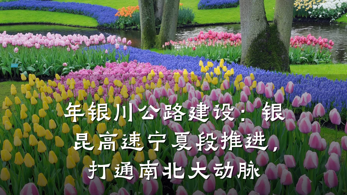 年银川公路建设：银昆高速宁夏段推进，打通南北大动脉
