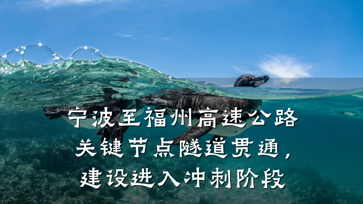宁波至福州高速公路关键节点隧道贯通,建设进入冲刺阶段